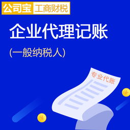 專業代理記賬服務 公司寶助您輕松應對工商財稅事務