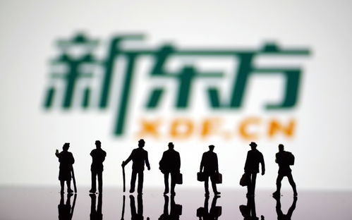 布局文旅再創(chuàng)業(yè) 新東方能否再造第二個(gè)“東方甄選”？